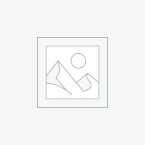 ZARA Golden decade  winter